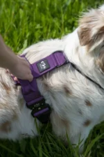 Szelki taktyczne IronHarness Czarny - obrazek 6