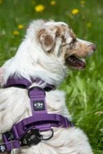 Szelki taktyczne IronHarness Czarny - obrazek 7