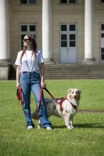 Smycz przepinana IronLeash Miętowy - obrazek 8