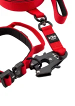 Zestaw spacerowy obroża + smycz miejska Czerwony - obrazek 2