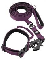 Zestaw spacerowy obroża + smycz miejska Fioletowy