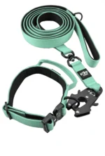 Zestaw spacerowy obroża + smycz miejska Miętowy